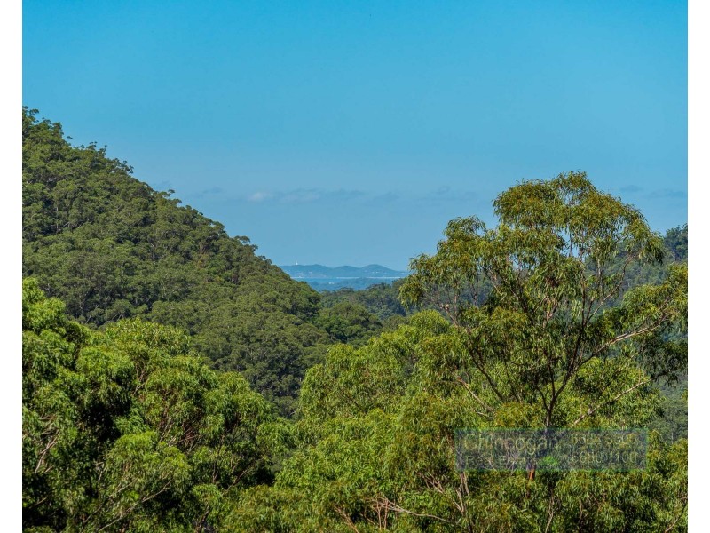 1701 Main Arm Road, Upper Main Arm NSW 2482