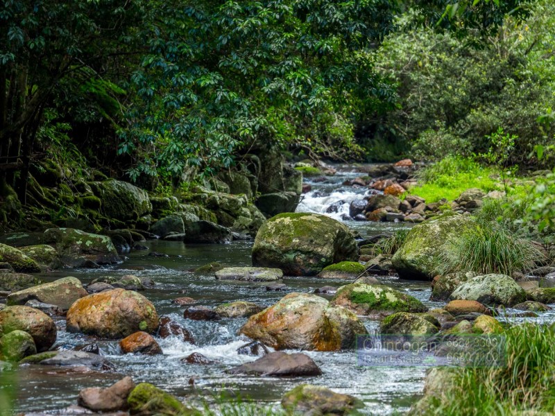 150 Upper Wilsons Creek Road, Upper Wilsons Creek NSW 2482