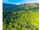 150 Upper Wilsons Creek Road, Upper Wilsons Creek NSW 2482
