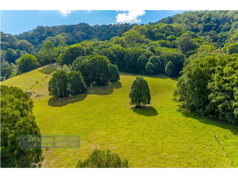 584 The Pocket Road, The Pocket NSW 2483