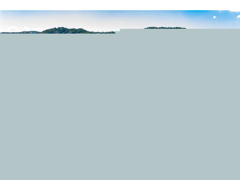 584 The Pocket Road, The Pocket NSW 2483