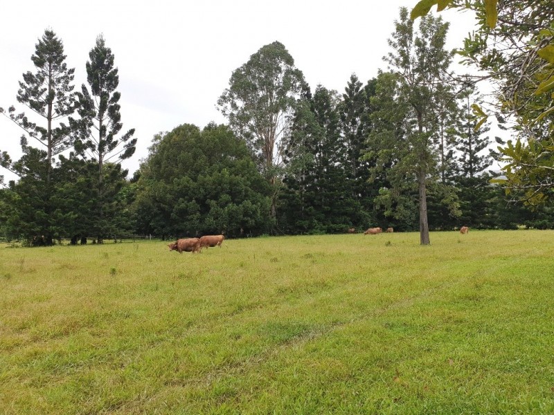 584 The Pocket Road, The Pocket NSW 2483