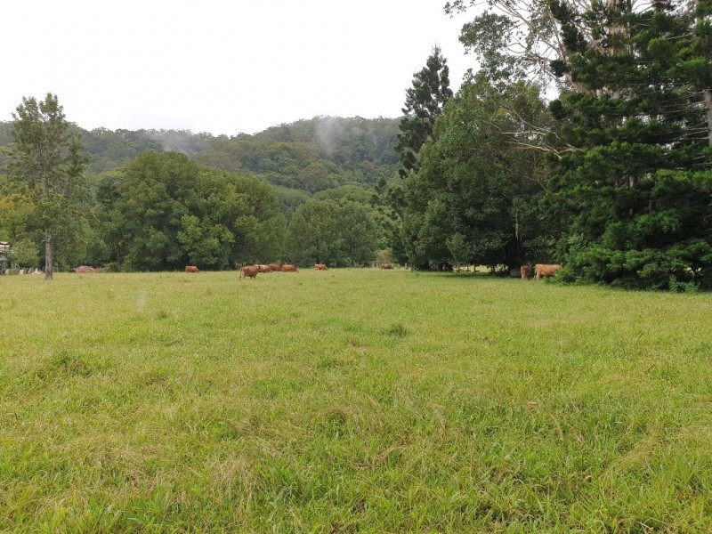 584 The Pocket Road, The Pocket NSW 2483