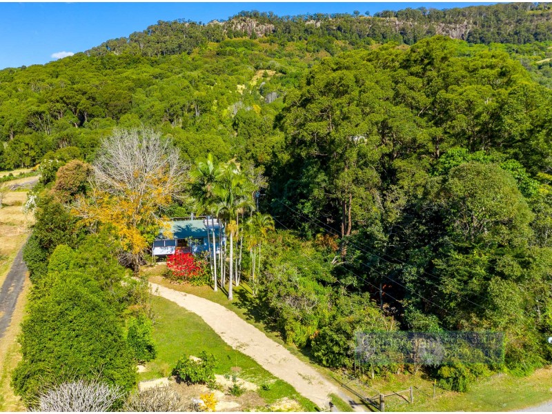 561 Left Bank Road, Mullumbimby Creek NSW 2482