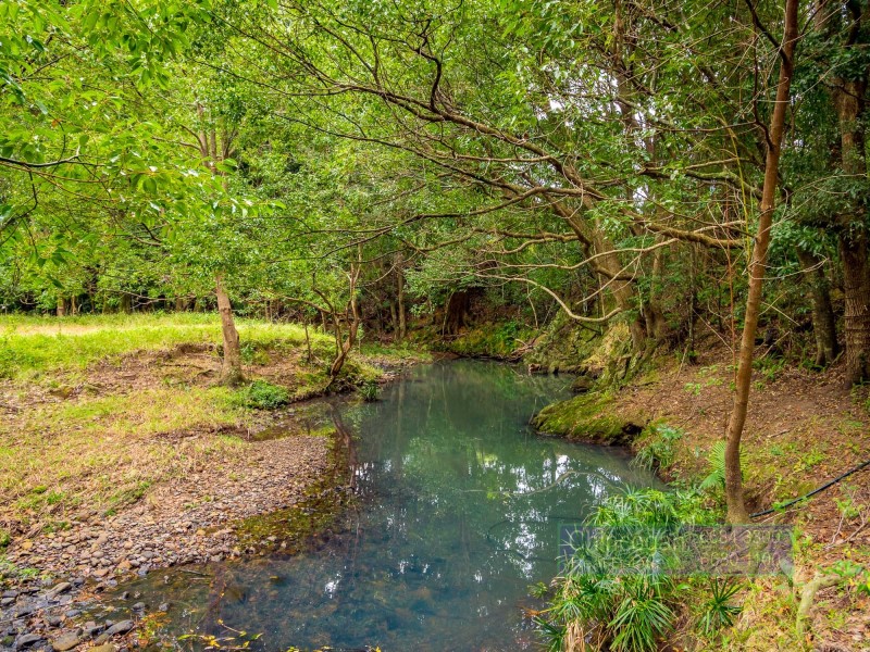 561 Left Bank Road, Mullumbimby Creek NSW 2482