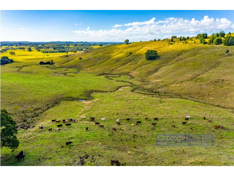 28 Coolamon Scenic Drive, Coorabell NSW 2479