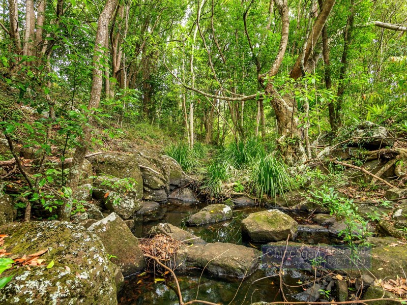 122 Dingo Lane, Myocum NSW 2481