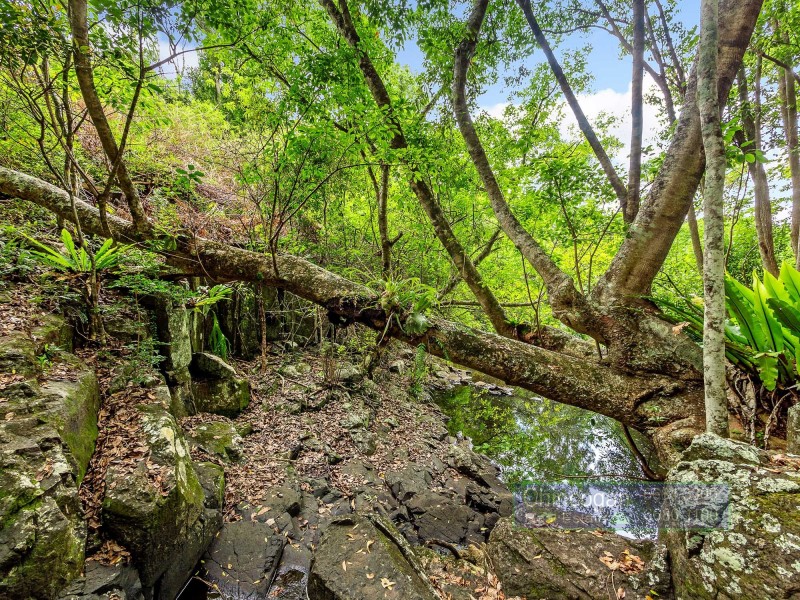 122 Dingo Lane, Myocum NSW 2481