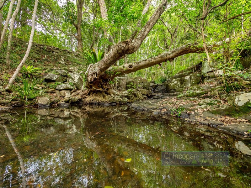 122 Dingo Lane, Myocum NSW 2481