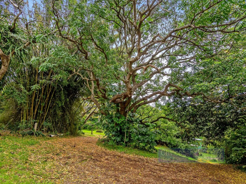 122 Dingo Lane, Myocum NSW 2481