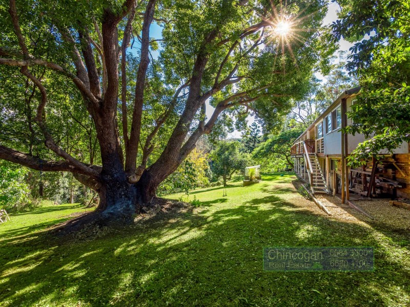 Montecollum NSW 2482