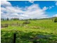 1350 Coolamon Scenic Drive, Mullumbimby NSW 2482