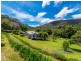 185 Upper Wilsons Creek Road, Upper Wilsons Creek NSW 2482