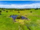 1350 Coolamon Scenic Drive, Mullumbimby NSW 2482