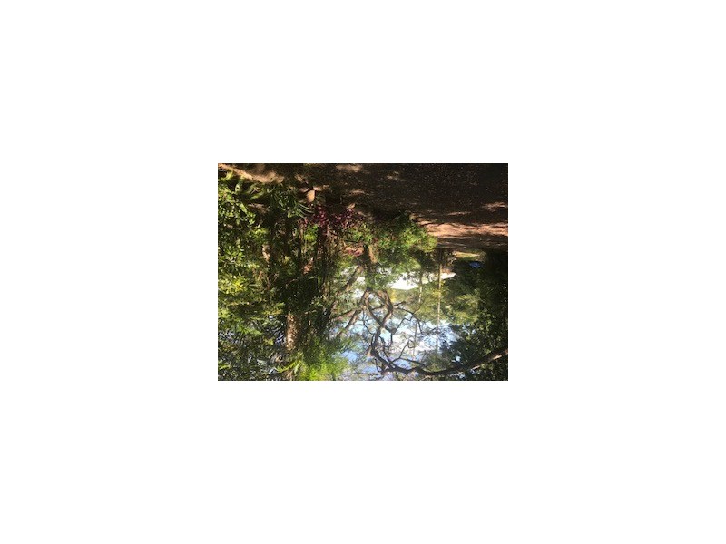 4 Kingsvale Road, Myocum NSW 2481