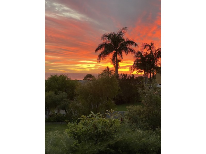 26 Goondooloo Drive, Ocean Shores NSW 2483