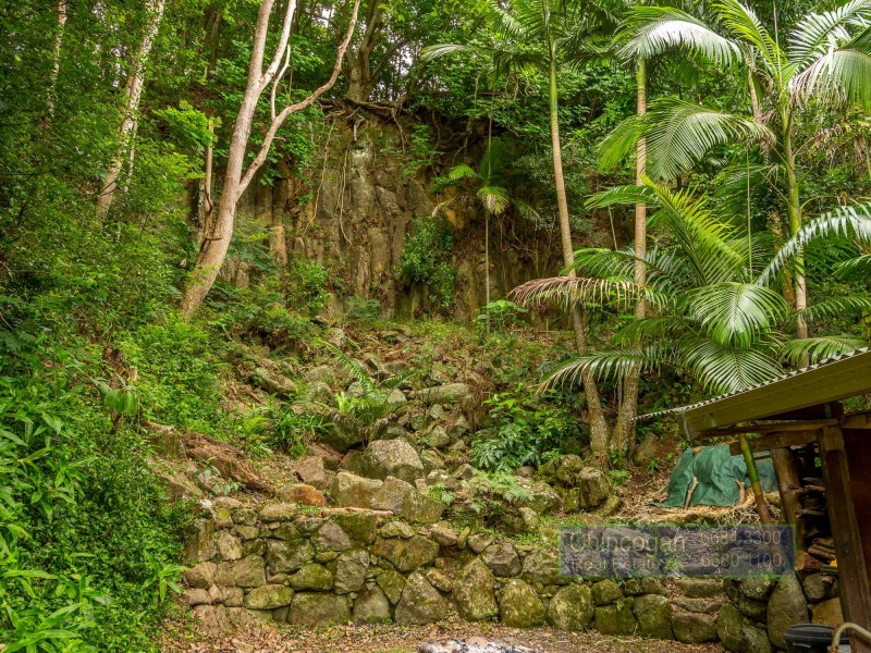 20 Left Bank Road, Mullumbimby NSW 2482