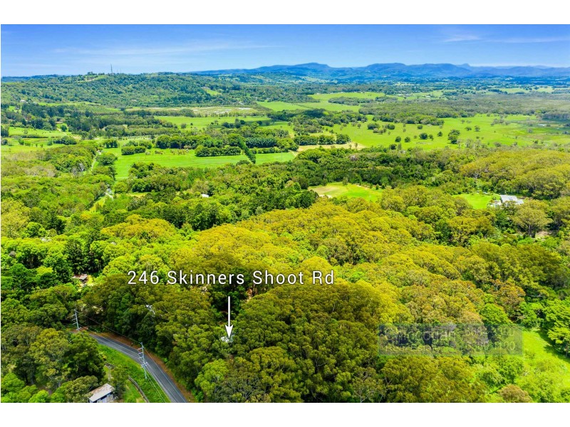 246 Skinners Shoot Road, Skinners Shoot NSW 2481