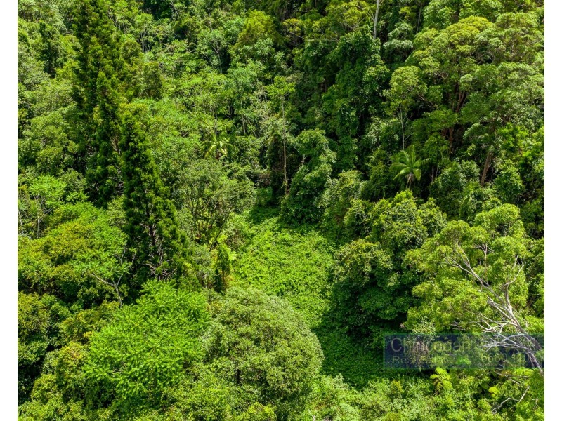 550 Middle Pocket Road, Middle Pocket NSW 2483