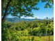 199 Palmwoods Road, Palmwoods NSW 2482