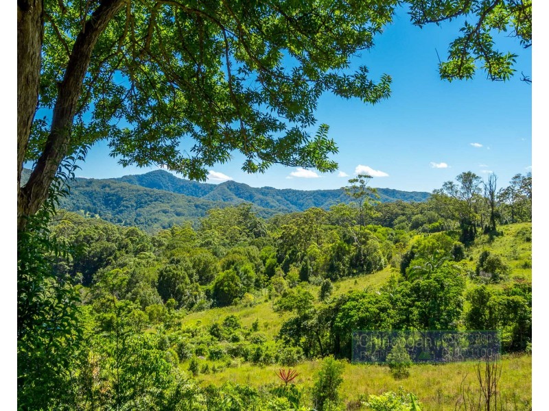 199 Palmwoods Road, Palmwoods NSW 2482
