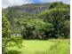 199 Palmwoods Road, Palmwoods NSW 2482