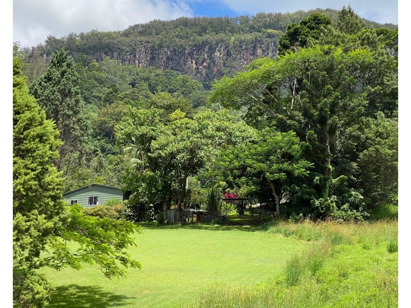 199 Palmwoods Road, Palmwoods NSW 2482