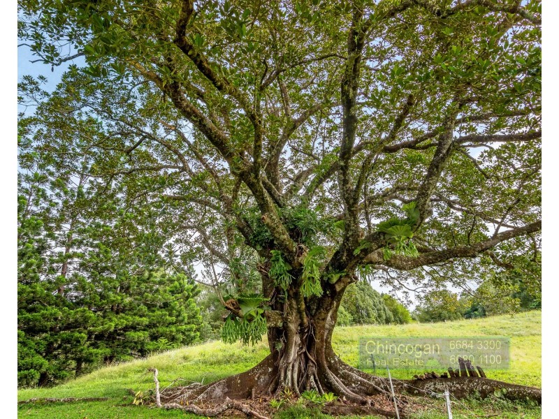 468 Main Arm Road, Mullumbimby NSW 2482