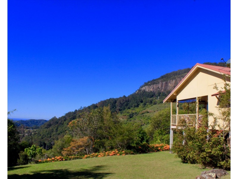 168C Palmwoods Road, Palmwoods NSW 2482