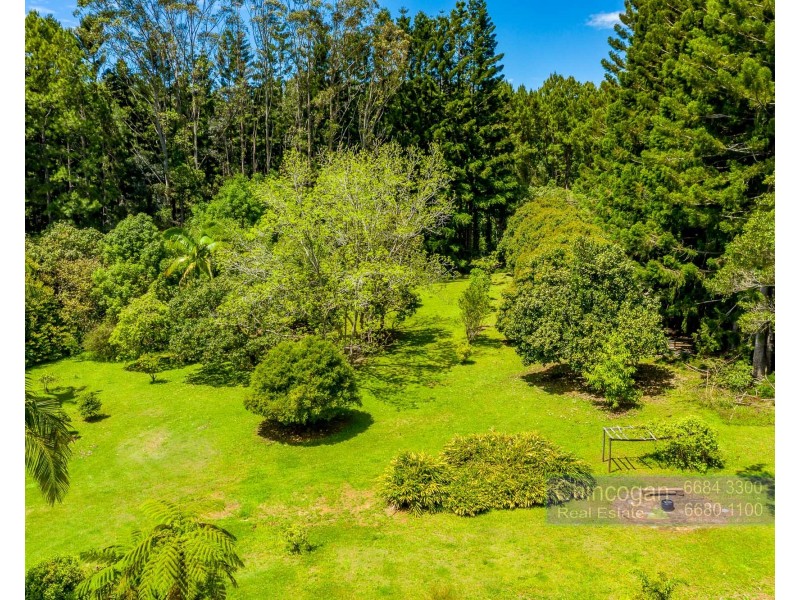 389 Burringbar Road, Upper Burringbar NSW 2483