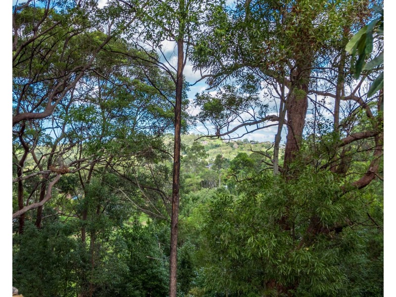 41 Matong Drive, Ocean Shores NSW 2483