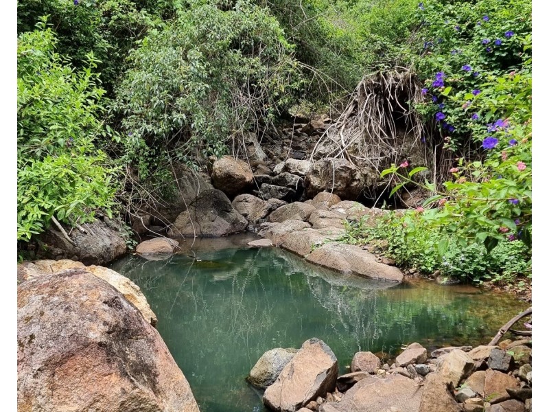 35 Black Bean Road, Wilsons Creek NSW 2482