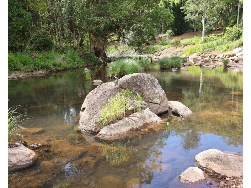 35 Black Bean Road, Wilsons Creek NSW 2482