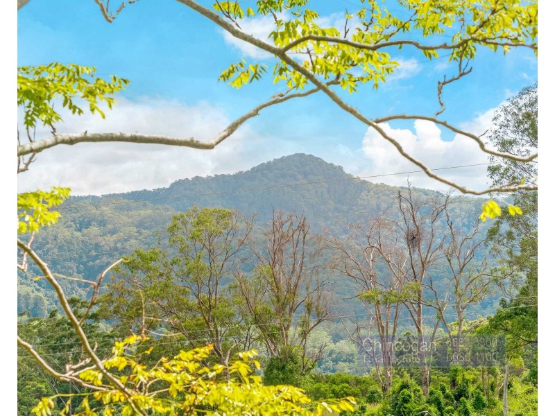 205 Palmwoods Road, Palmwoods NSW 2482