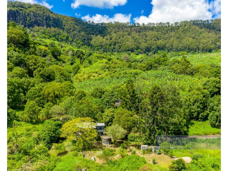 205 Palmwoods Road, Palmwoods NSW 2482