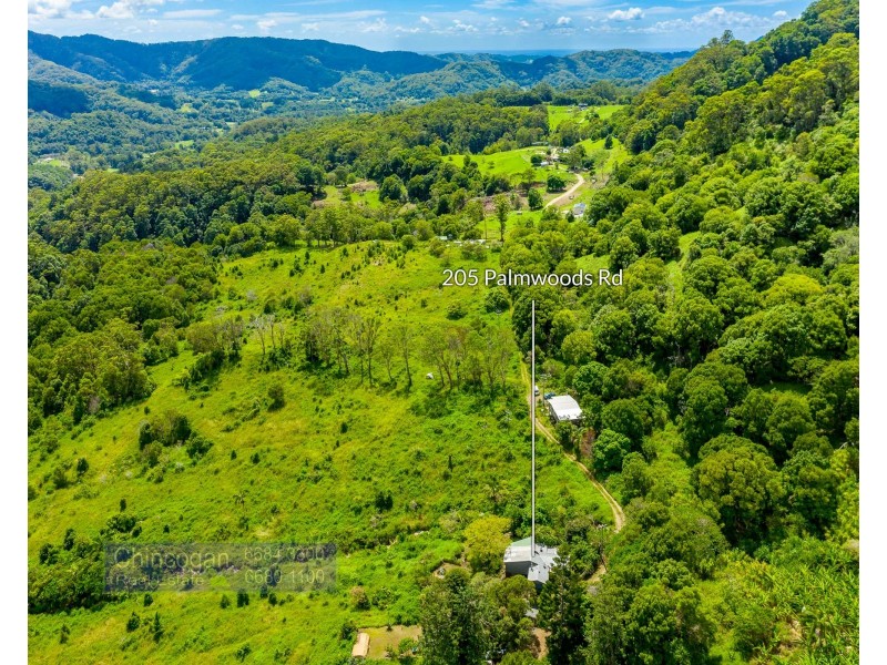 205 Palmwoods Road, Palmwoods NSW 2482