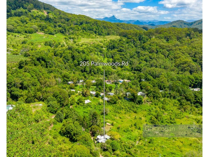 205 Palmwoods Road, Palmwoods NSW 2482