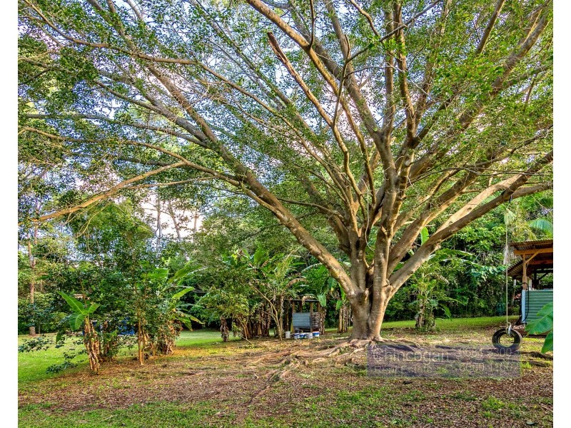 5 Left Bank Road, Mullumbimby NSW 2482