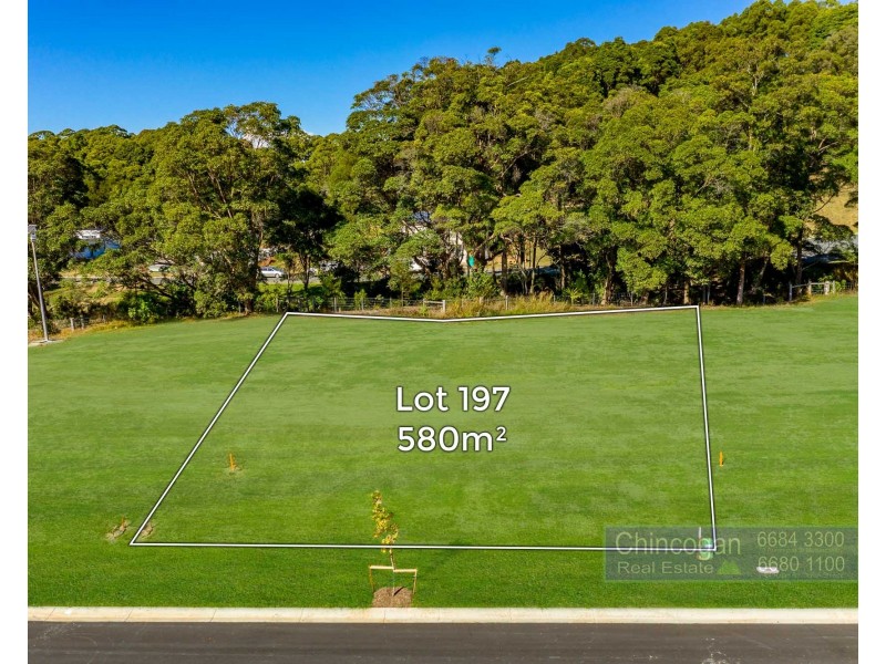 197 Tuckeroo Avenue, Mullumbimby NSW 2482