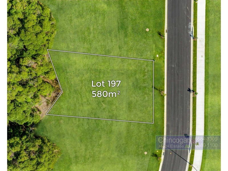 197 Tuckeroo Avenue, Mullumbimby NSW 2482