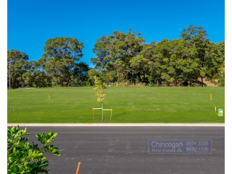 197 Tuckeroo Avenue, Mullumbimby NSW 2482