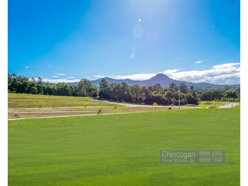 197 Tuckeroo Avenue, Mullumbimby NSW 2482