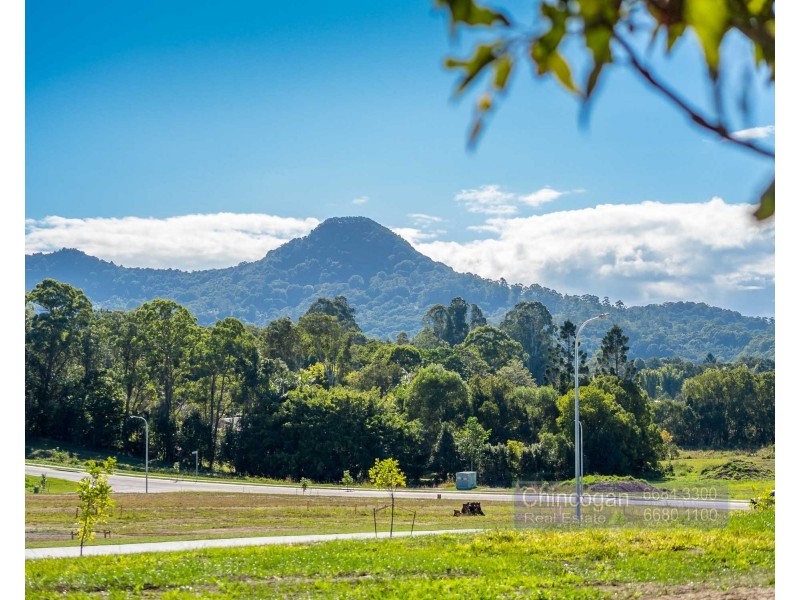 197 Tuckeroo Avenue, Mullumbimby NSW 2482