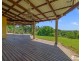 61 Robinsons Road, Wilsons Creek NSW 2482
