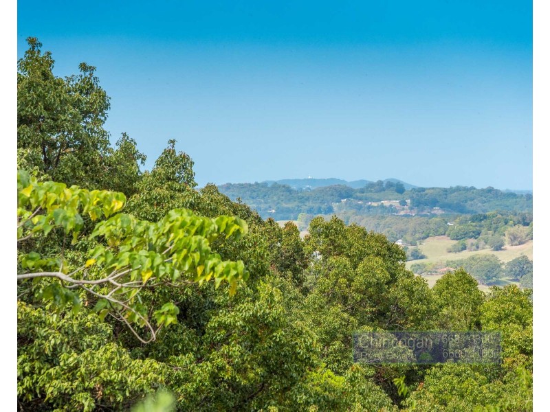 Wilsons Creek NSW 2482
