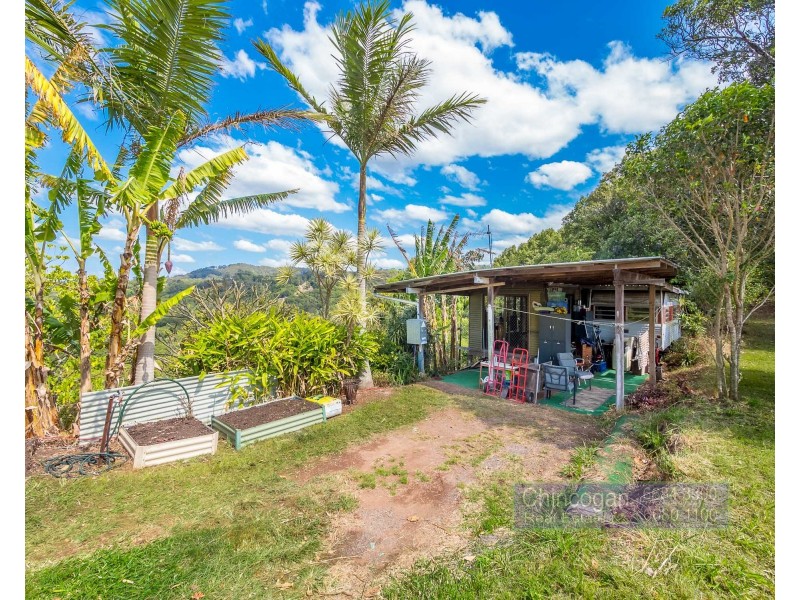Wilsons Creek NSW 2482