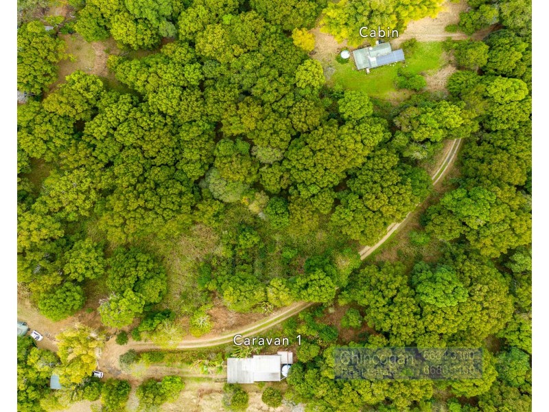 Wilsons Creek NSW 2482
