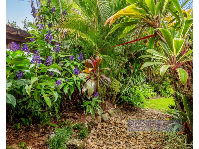 9 Fern Street, Mullumbimby NSW 2482