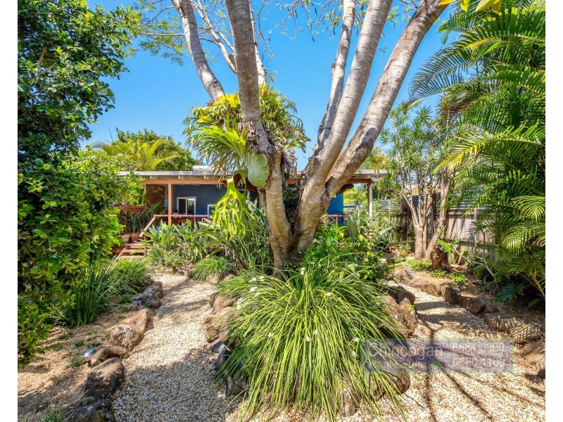 54 New City Road, Mullumbimby NSW 2482