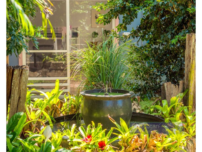 54 New City Road, Mullumbimby NSW 2482